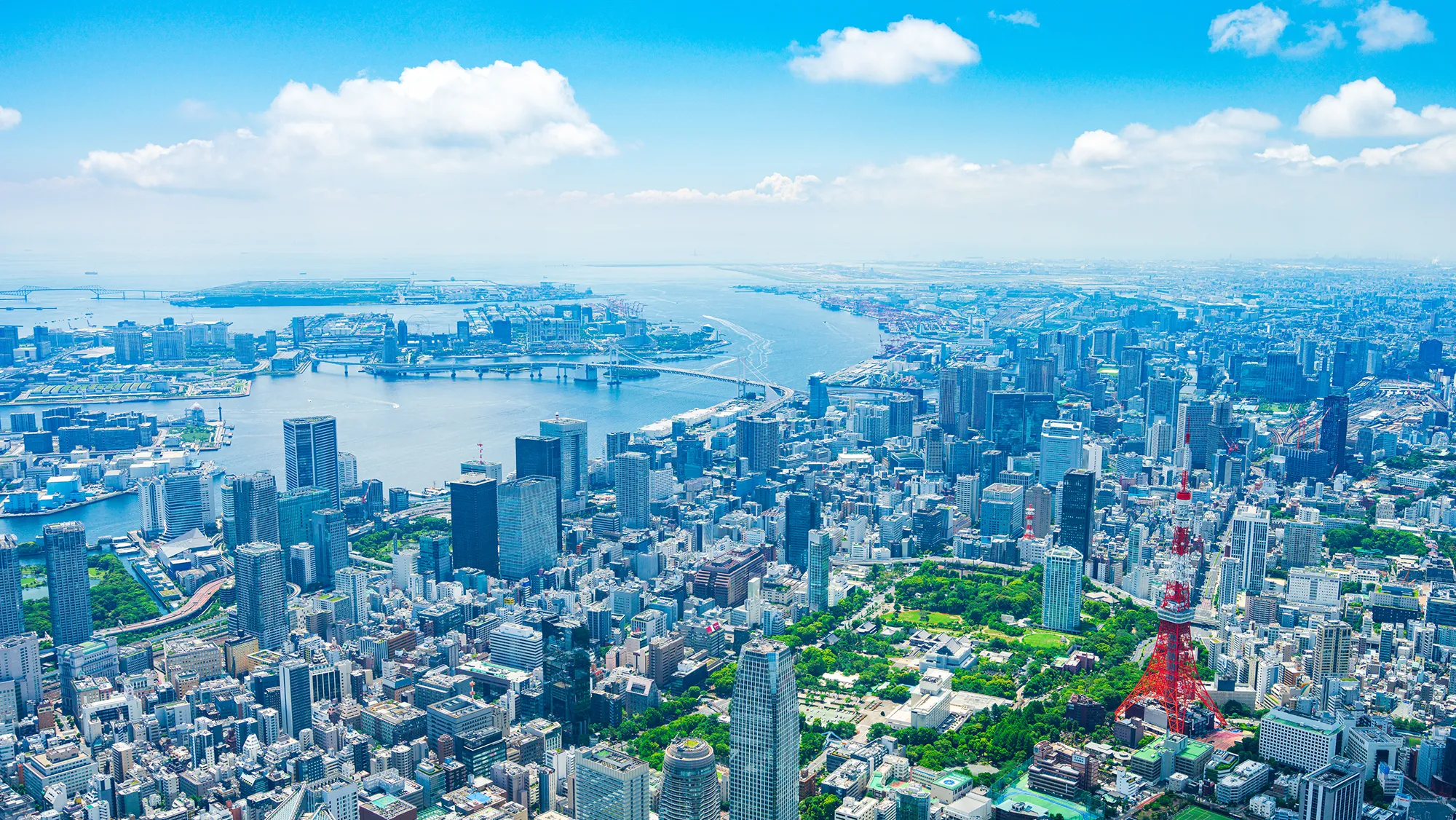 会社情報更新のお知らせ